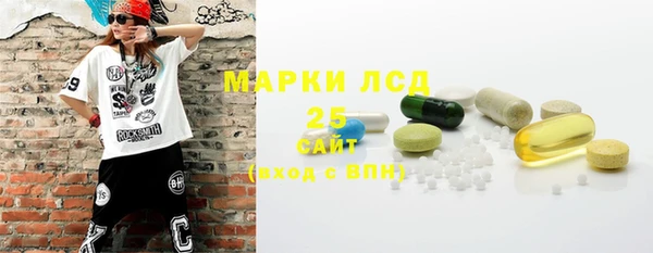 гашик Михайлов