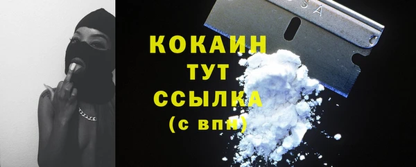 гашик Михайлов