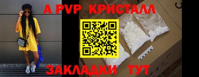 стафф Кингисепп