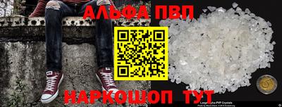 стафф Кингисепп