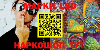 стафф Кингисепп