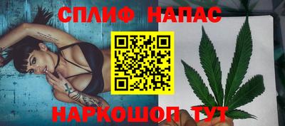 PSILOCYBIN Кинель