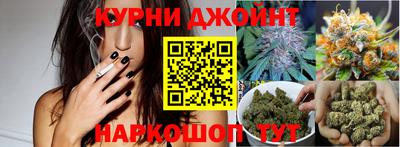 стафф Кингисепп