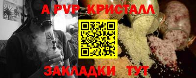 стафф Кингисепп
