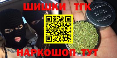 стафф Кингисепп