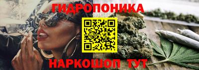 PSILOCYBIN Кинель