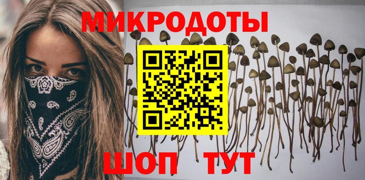 Туапсе  Псилоцибиновые грибы Cubensis  Галлюциногенные грибы Psilocybe  Вход с VPN 